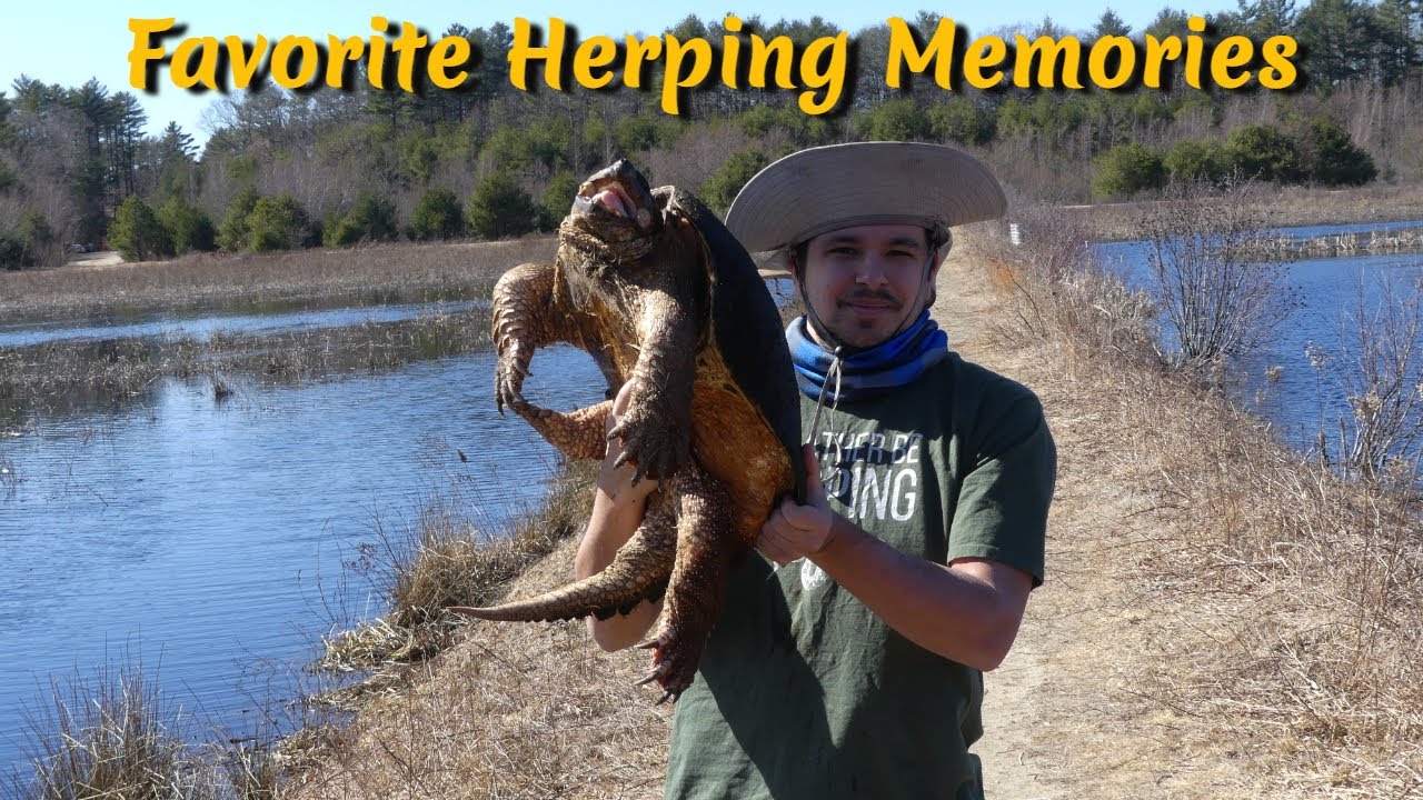 My Top 10 Field Herping Moments of 2021!!