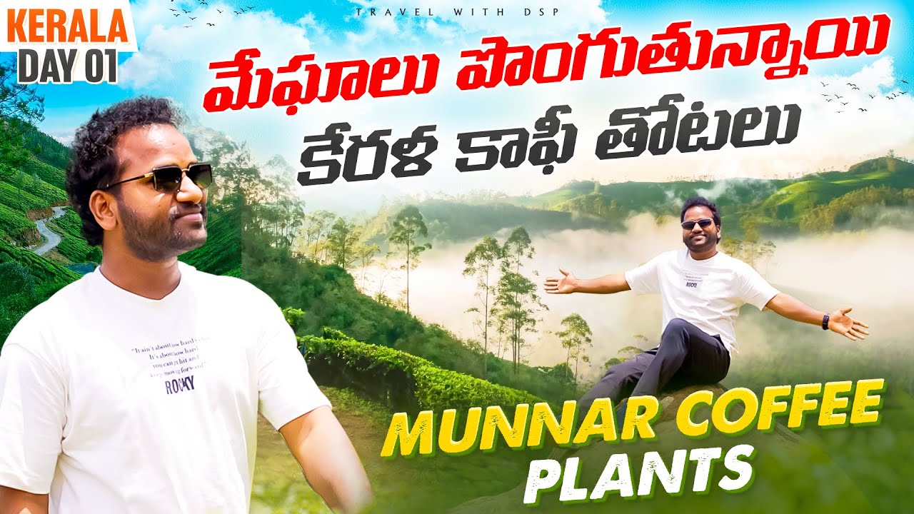 Munnar Coffee Plants 🌿 | How Kerala’s Hidden Coffee Farms Grow the Perfect Beans!”