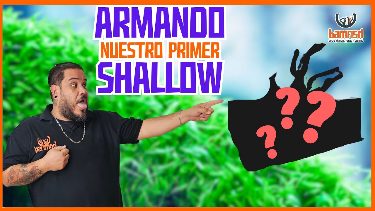 Armamos nuestro primer ACUARIO SHALLOW