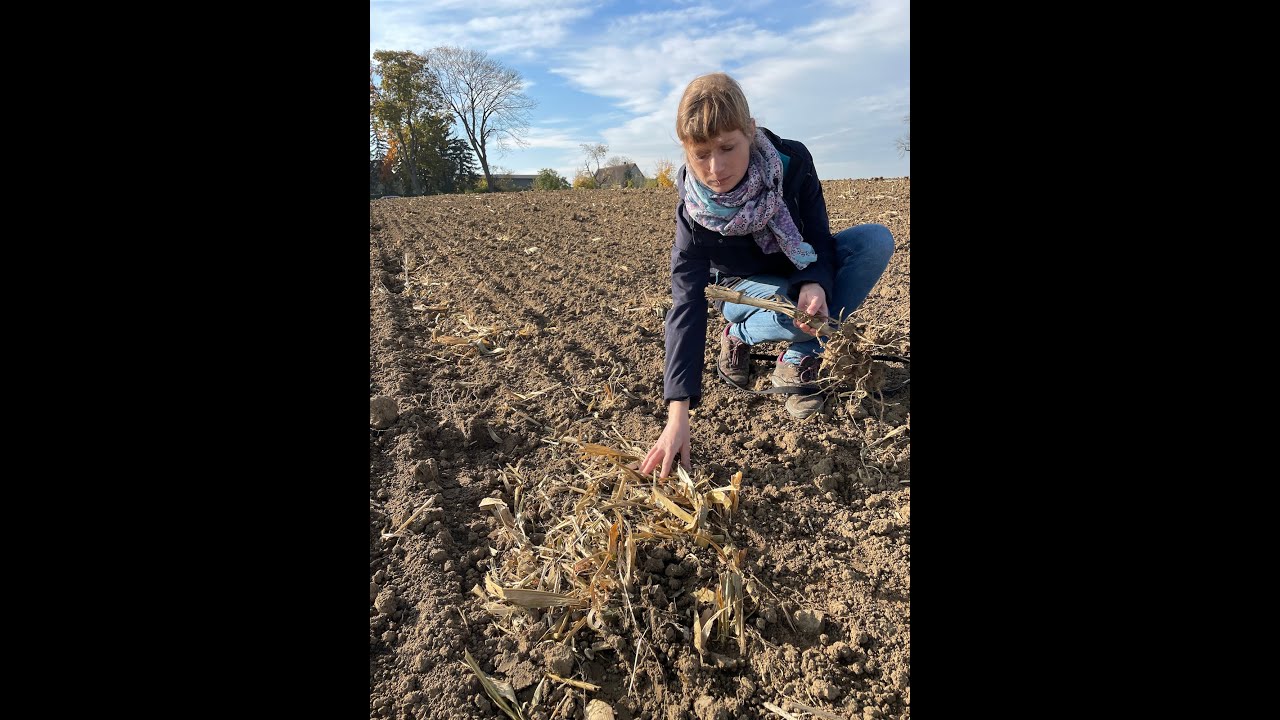 Feldexkursion 208: Worauf vor dem Winter achten - N.U. Agrar GmbH, 02.11.2021