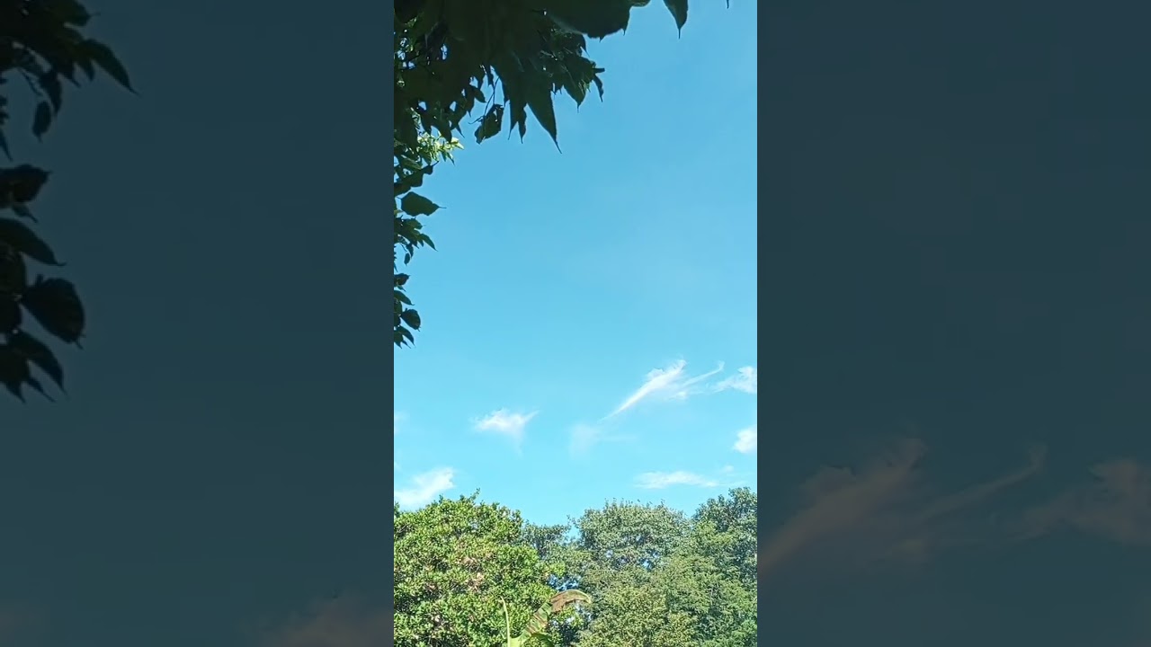 lar doce lar 🏡 Miranda ms/aldeia passarinho ❤️