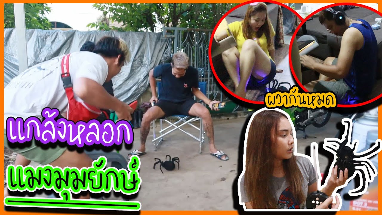 แกล้งหลอกแมงมุมยักษ์ทีมงาน !! งานนี้มีผวากันหมด !! ..