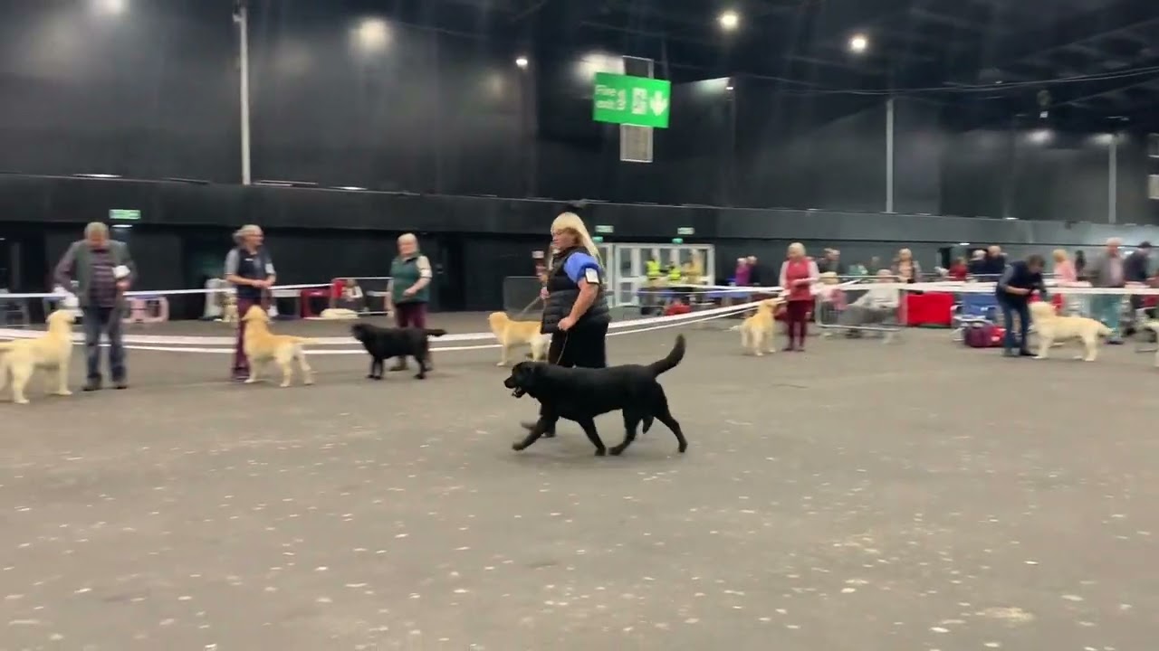 Scottish Kennel Club