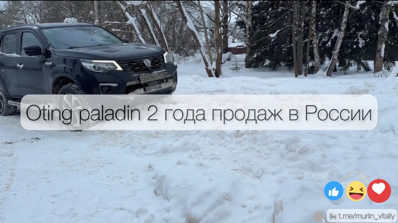 Oting Paladin два года в России - отмечаем день рождение