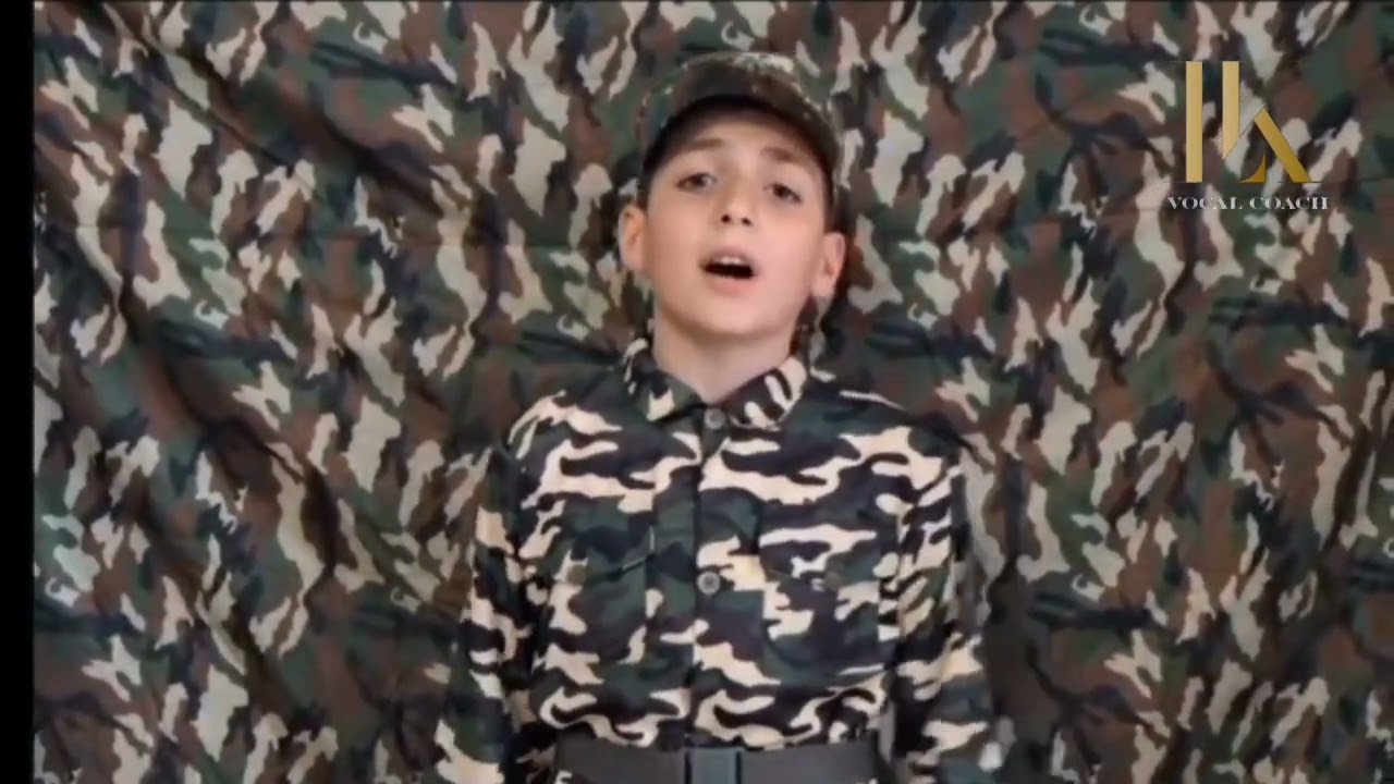 Tigran Navasardyan-Poqrik Zinvor (Cover) @absolutmusicarmenia