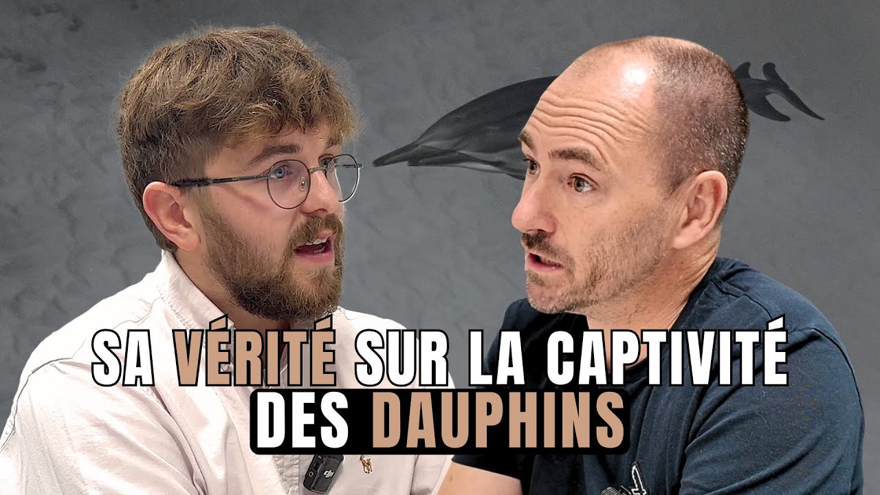 J’ai rencontré les derniers dauphins gardés en captivité