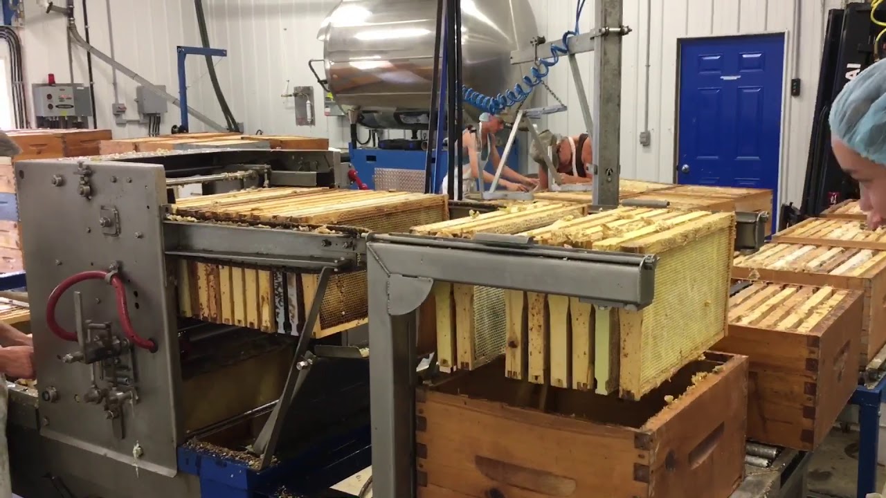 Mid sized Commercial Honey Extracting Room