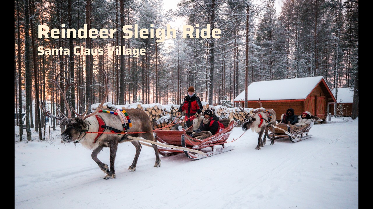 What Is a Reindeer Sleigh Ride Like? | Santa Claus Village, Rovaniemi