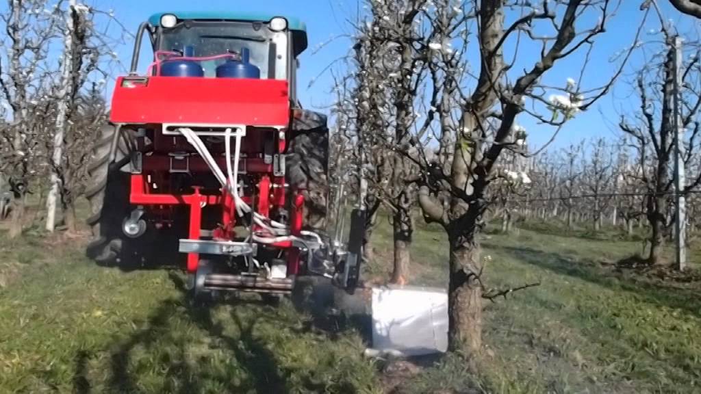 Prova di pirodiserbo nel frutteto con PiroTractor