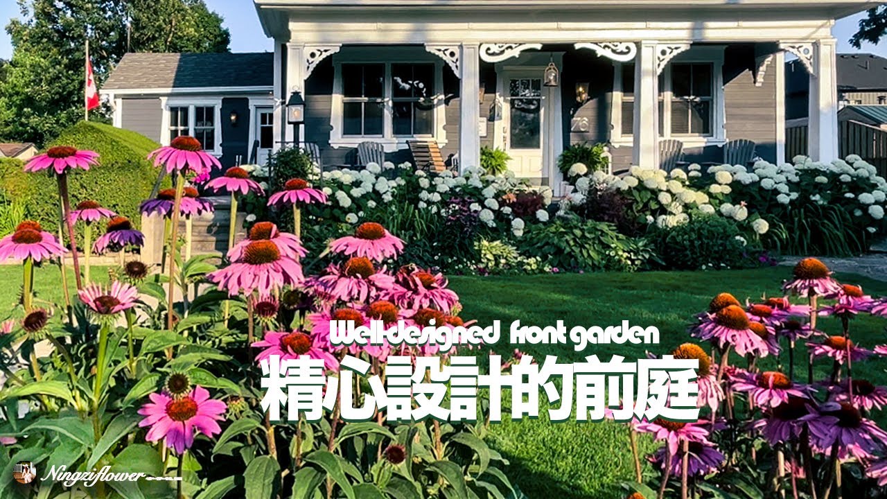 精心设计的前庭|花坛的布局｜花园设计|Well-designed  Your Front Garden