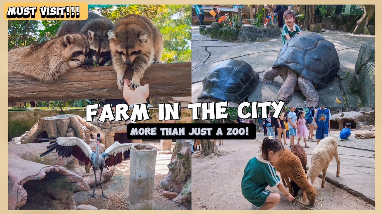 Farm In The City🐢 One of the BEST ZOO in 🇲🇾You can TOUCH & FEED almost all of the animals there🍄🦚