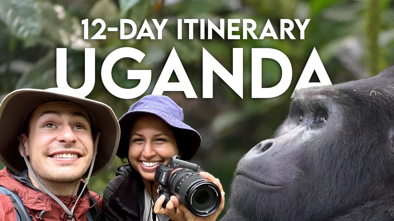 12-Day Itinerary: Uganda Safari (Plan Your Trip↓)