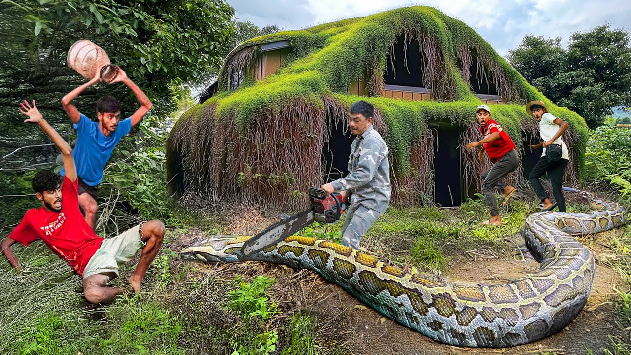 Clean Up Abandoned House | Horrifying Battle With a 20m Long Python in Front of an Old House