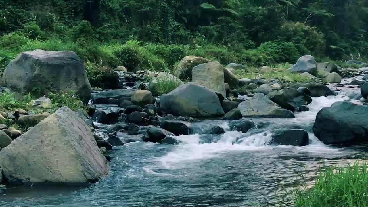 Stress-Free River Flow with Meditative Sounds for Insomnia Relief & Therapy