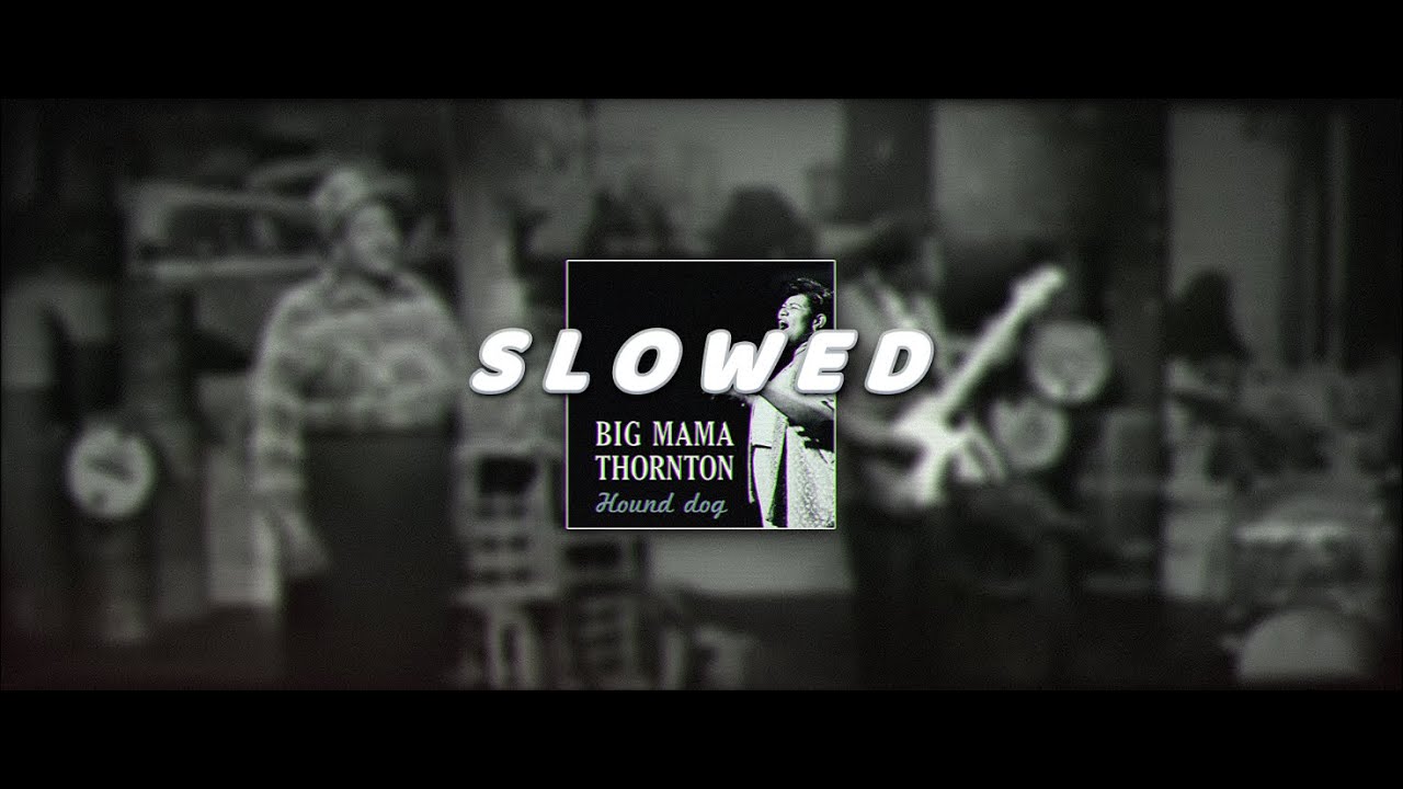 𝙃𝙤𝙪𝙣𝙙 𝘿𝙤𝙜 / 𝘉𝘪𝘨 𝘔𝘢𝘮𝘢 𝘛𝘩𝘰𝘳𝘯𝘵𝘰𝘯 / 𝙨𝙡𝙤𝙬𝙚𝙙