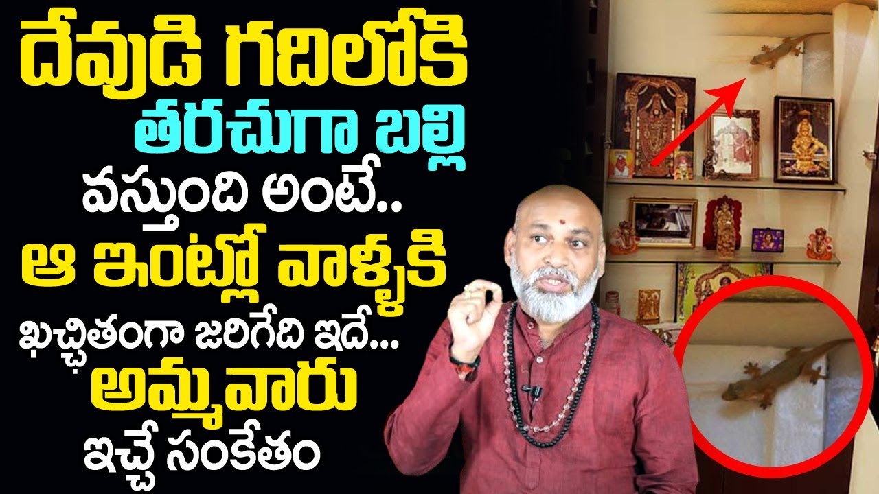 దేవుడి గ‌దిలోకి తరచుగా బల్లి వ‌స్తుందంటే..| Effects Of Lizards | Lizards In Home | Nanaji Patnaik
