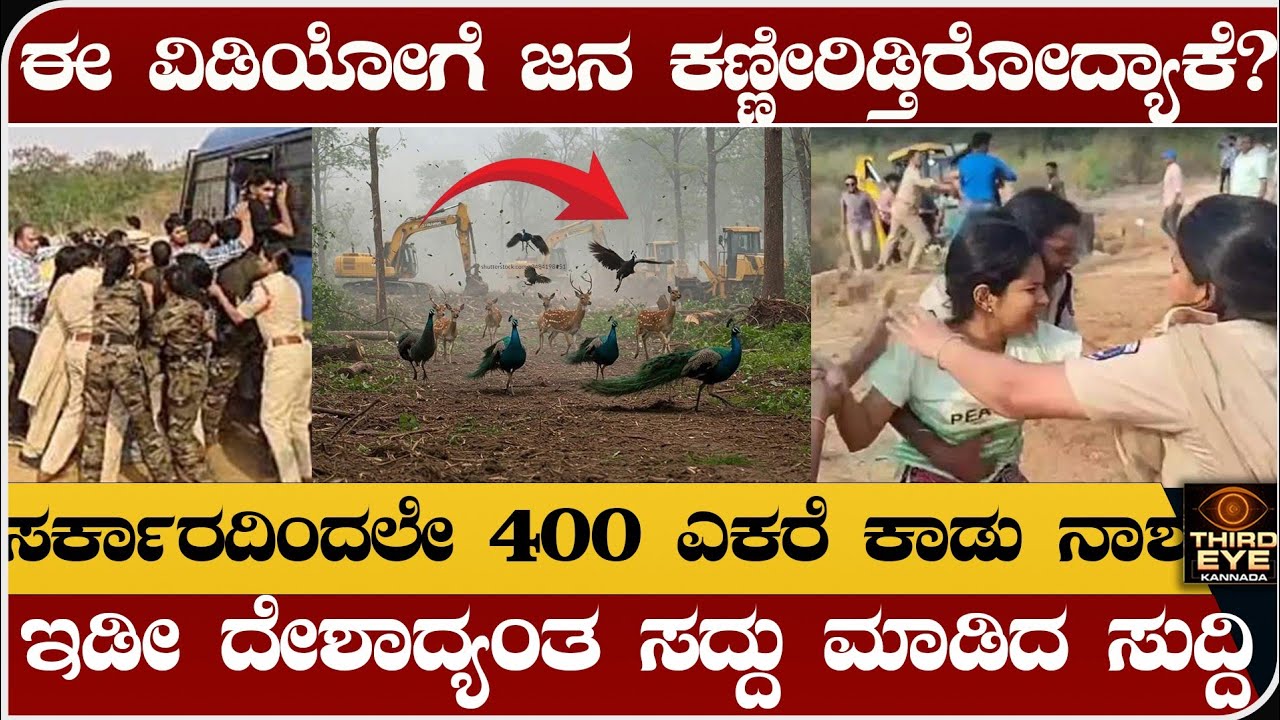 ಈ ವಿಡಿಯೋಗೆ ಇಡೀ ದೇಶವೇ ಕಣ್ಣೀರಿಡ್ತಿರೋದ್ಯಾಕೆ? ತೆಲಂಗಾಣ 400 ಎಕರೆ ಅರಣ್ಯ ನಾಶ- kancha gachibowli forest issue