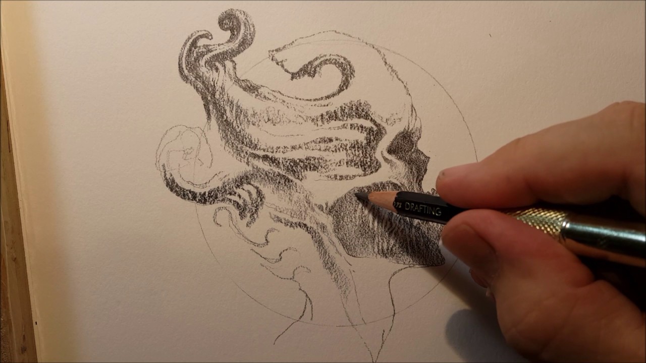 Allen Williams Skull Sketch