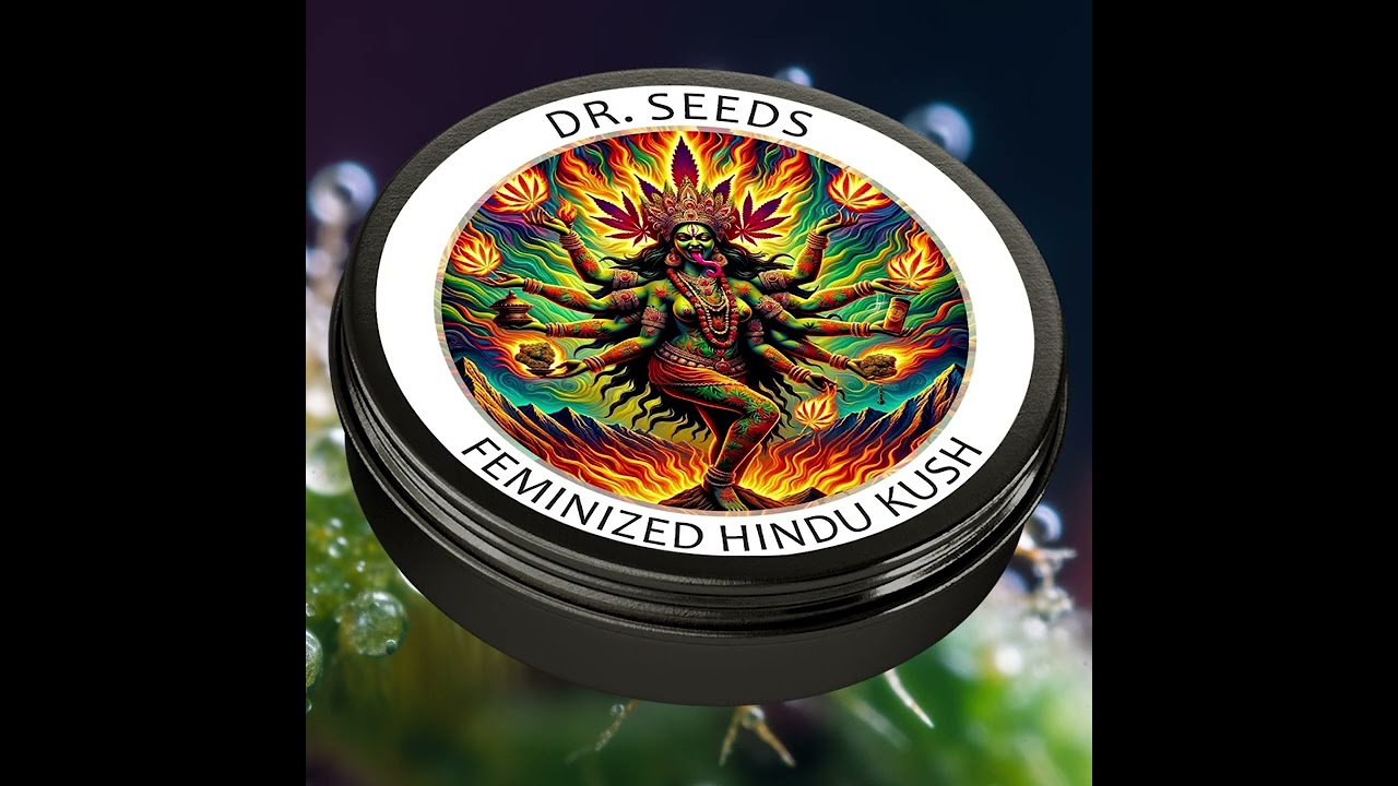 Hindu Kush Feminized Seeds #cannabiscultivation