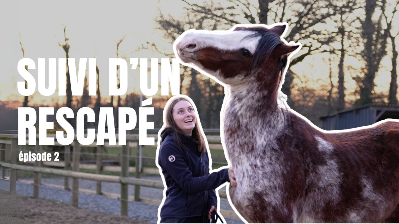 [ÉPISODE 2] Suivi d'un cheval rescapé
