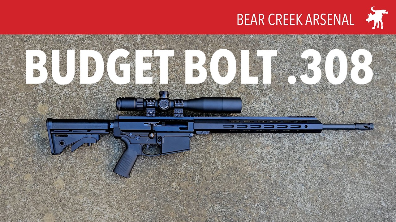 Хороши ли бюджетные винтовки AR с продольно-скользящим затвором? Bear Creek Arsenal BC10
