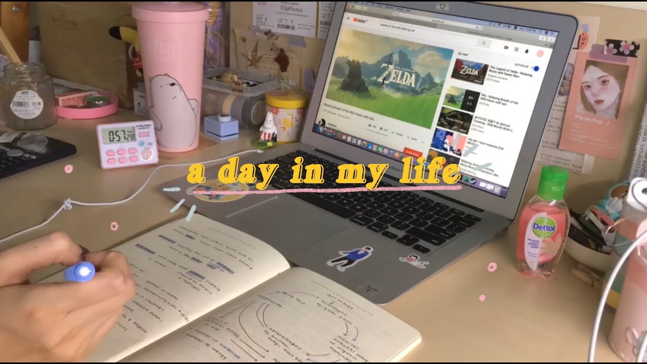 study vlog -  the day before the new semester