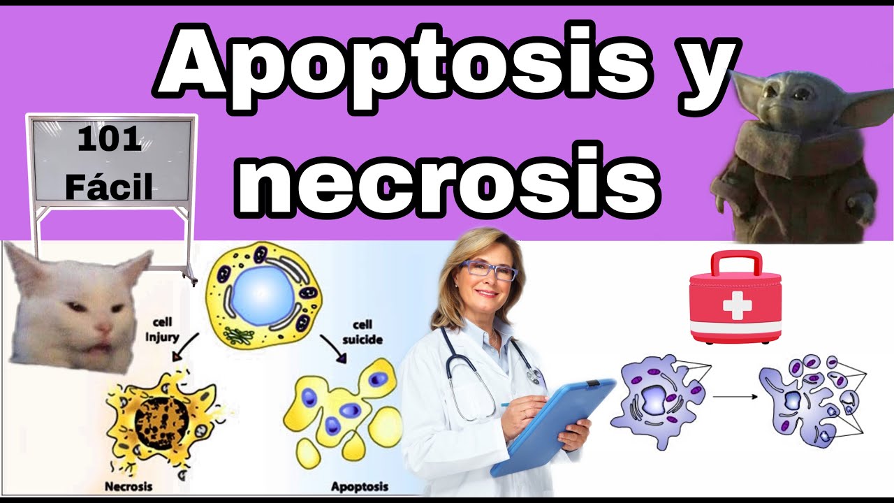 NECROSIS: RESUMEN
