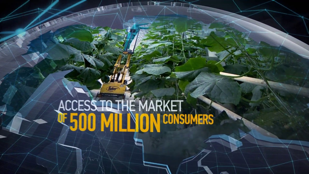Agro-Industrial Complex