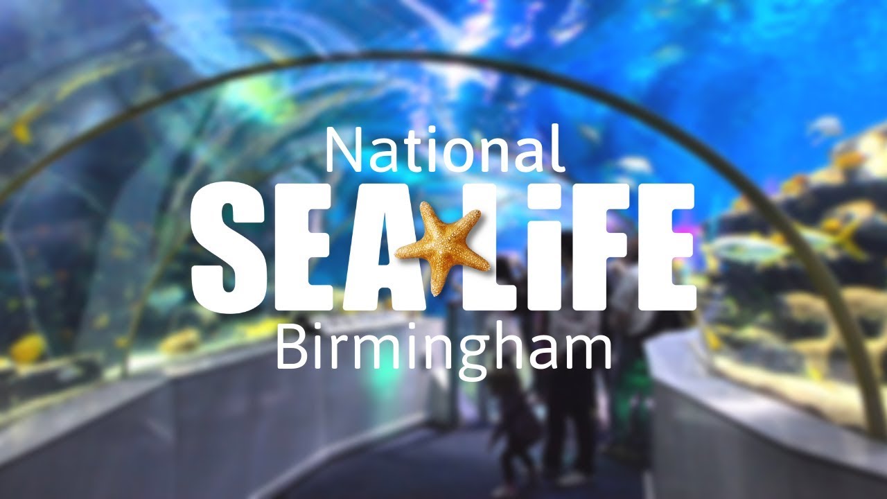 Sea Life Centre Birmingham - Vlog