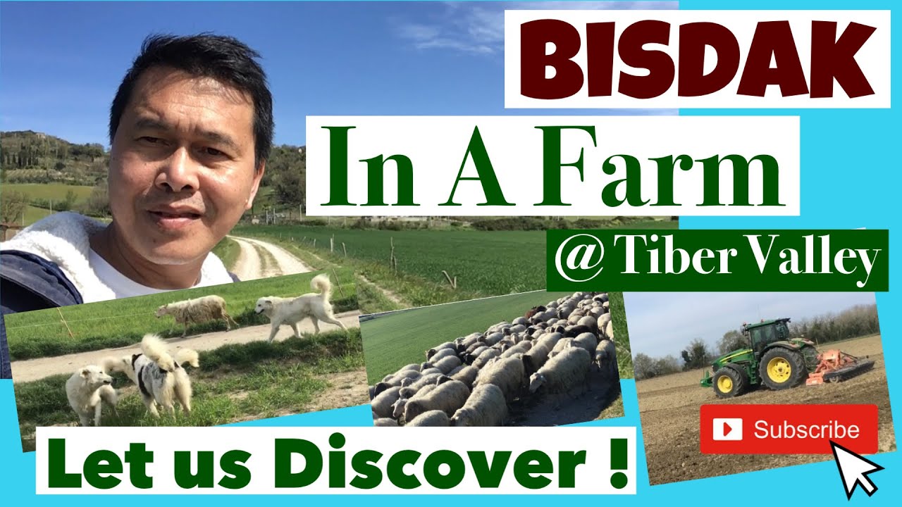 Bisdak Laruy-Laroy | Farm Life In The Tiber Valley | Ang kaanindot ug kaalegre mga panghitabu.