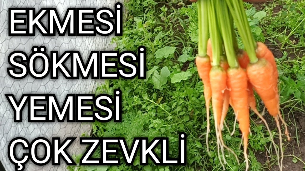 Gerçekten Terapi Gibi