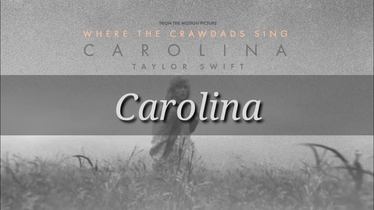 Carolina - Taylor Swift (Karaoke w/ backing vocals)