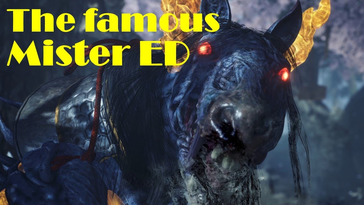 Nioh 2 (Mezuki): Mister ED aka brute force for a horse