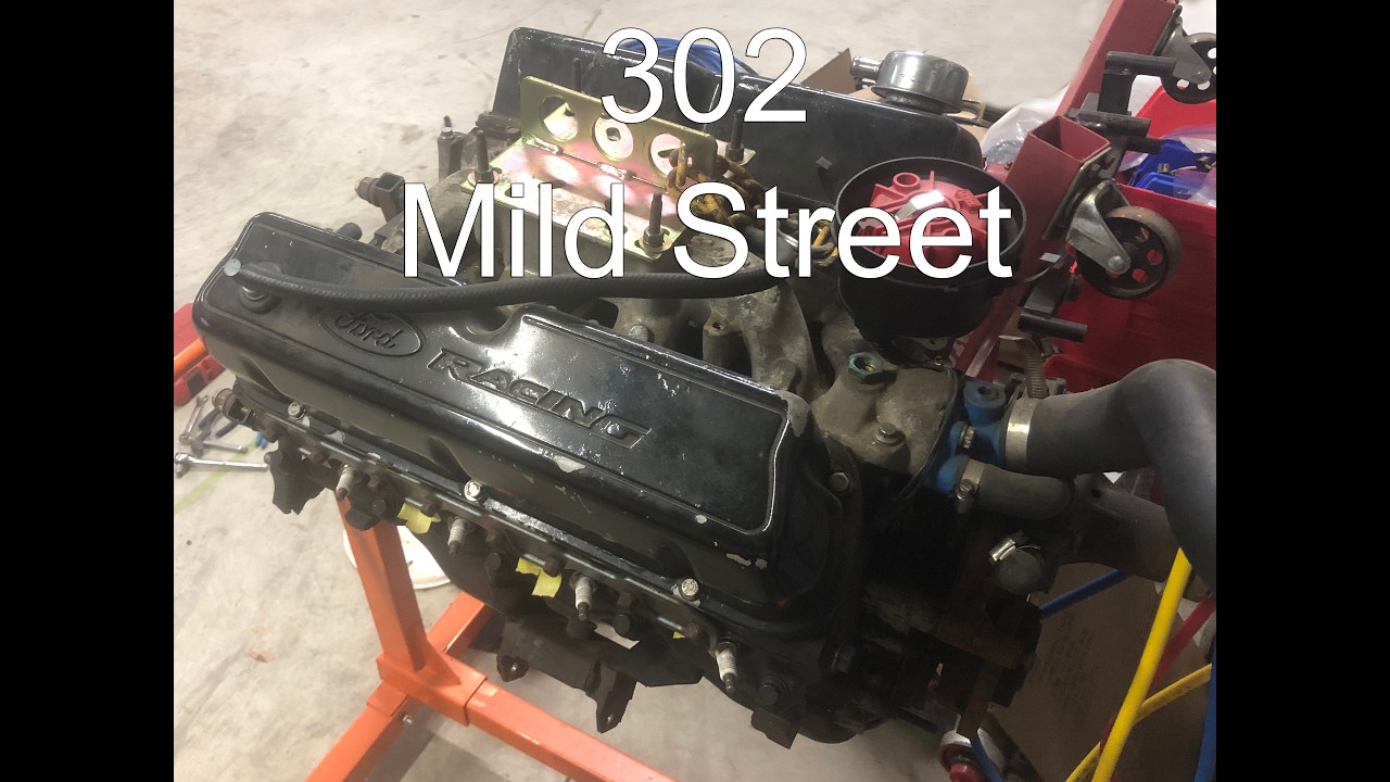 Ford 302 mild street