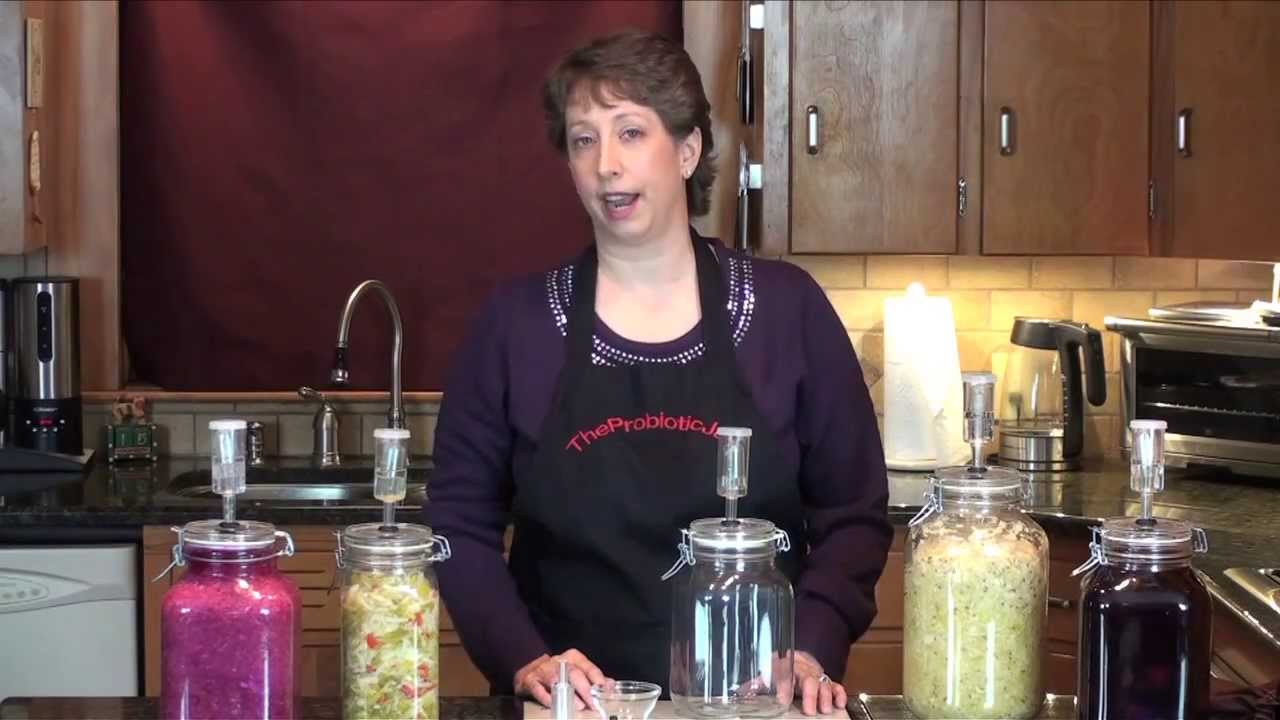 Introduction to The Probiotic Jar