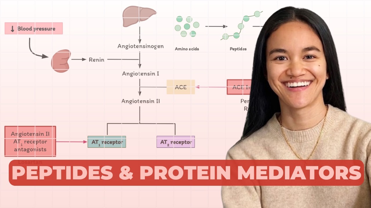 Peptides & Protein Mediators: Insulin and Angiotensin | Pharmacology