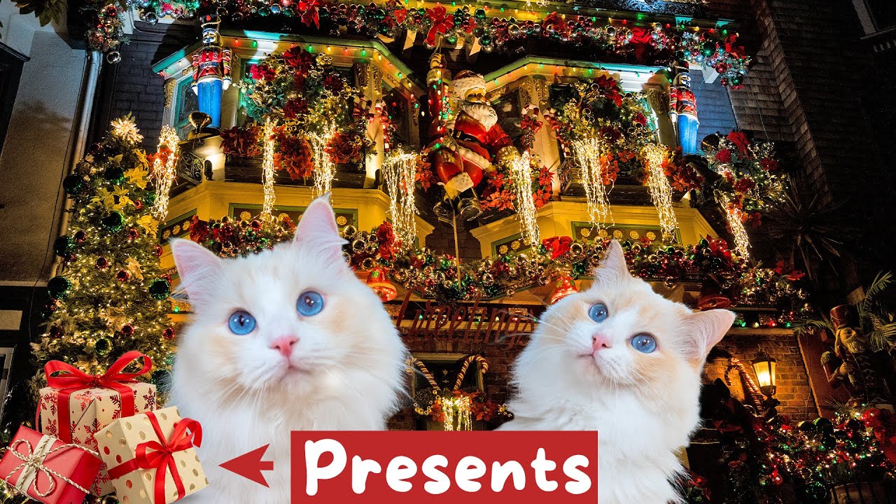 Giving My Cats the Best Christmas (5 Presents - #5 Lego Train vs Cat at Night) | The Cat Butler