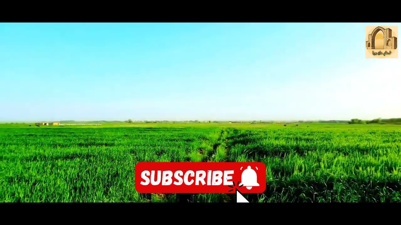 نوشهر علی&zwnj;زی؛ گوشه&zwnj;ای از طبیعت سبز ولسوالی چمتال#نوشهر_علی&zwnj;زی #چمتال #بلخ #لحظه&zwnj;های_زیبا #افغانستان