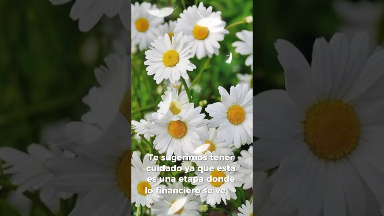 MENSAJE ANGELICAL PARA POLO ANTONIO PUENTES #oraculoangelical #dios #universo #oraculogratis