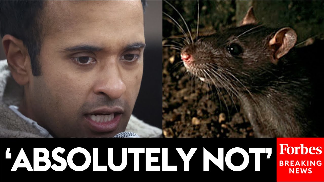 Vivek Ramaswamy Asked Point Blank About Cabinet: 'Will You Commit To Not Picking A Sewer Rat?'