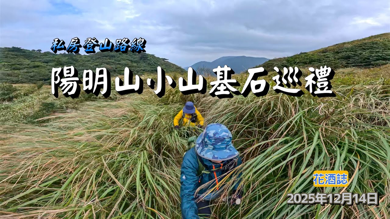 【陽明山小山基石巡禮】擎天崗山／七股山／小油坑山／竹子湖山／小山雖然不及名山壯闊，卻擁有自己獨特的吸引力。尤其是七股山、登頂前還要鑽一段箭竹林、讓你箭竹吃到飽、這也是另一種樂趣。