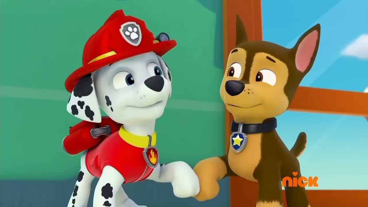 paw patrol friendship day song
