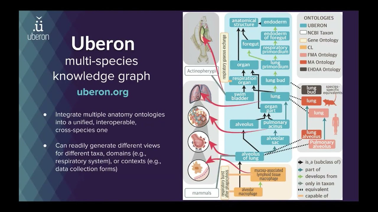 Melissa Haendel: Making Phenomics a First Class Computational Act