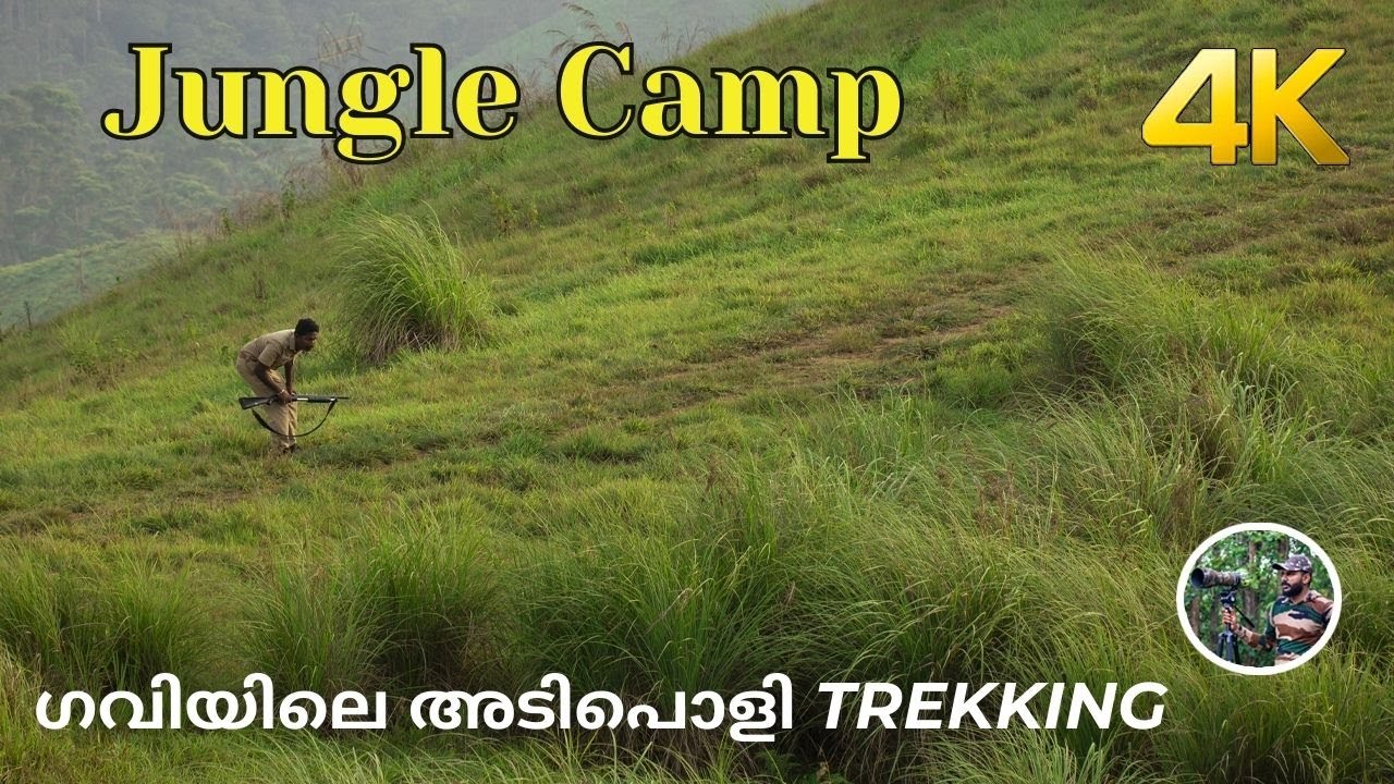 Jungle Camp 4K
