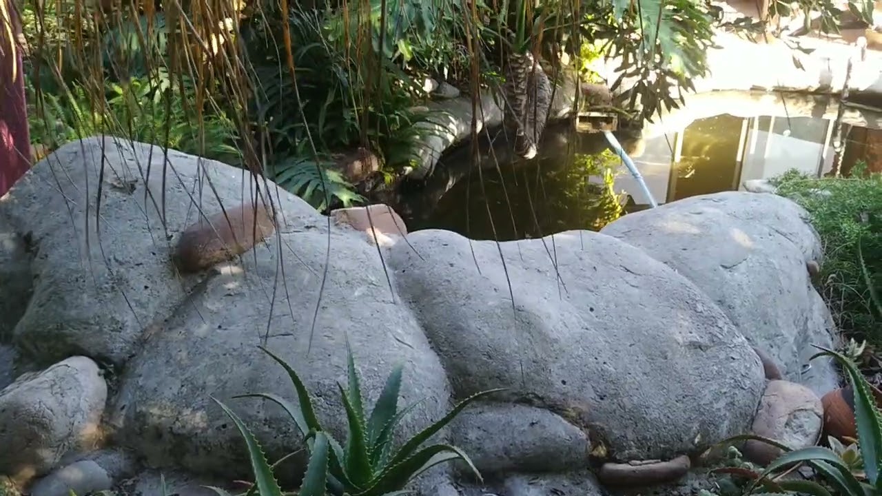 Tips on how to turn your garden  into your sanctuary! Easy, and very cost effective.