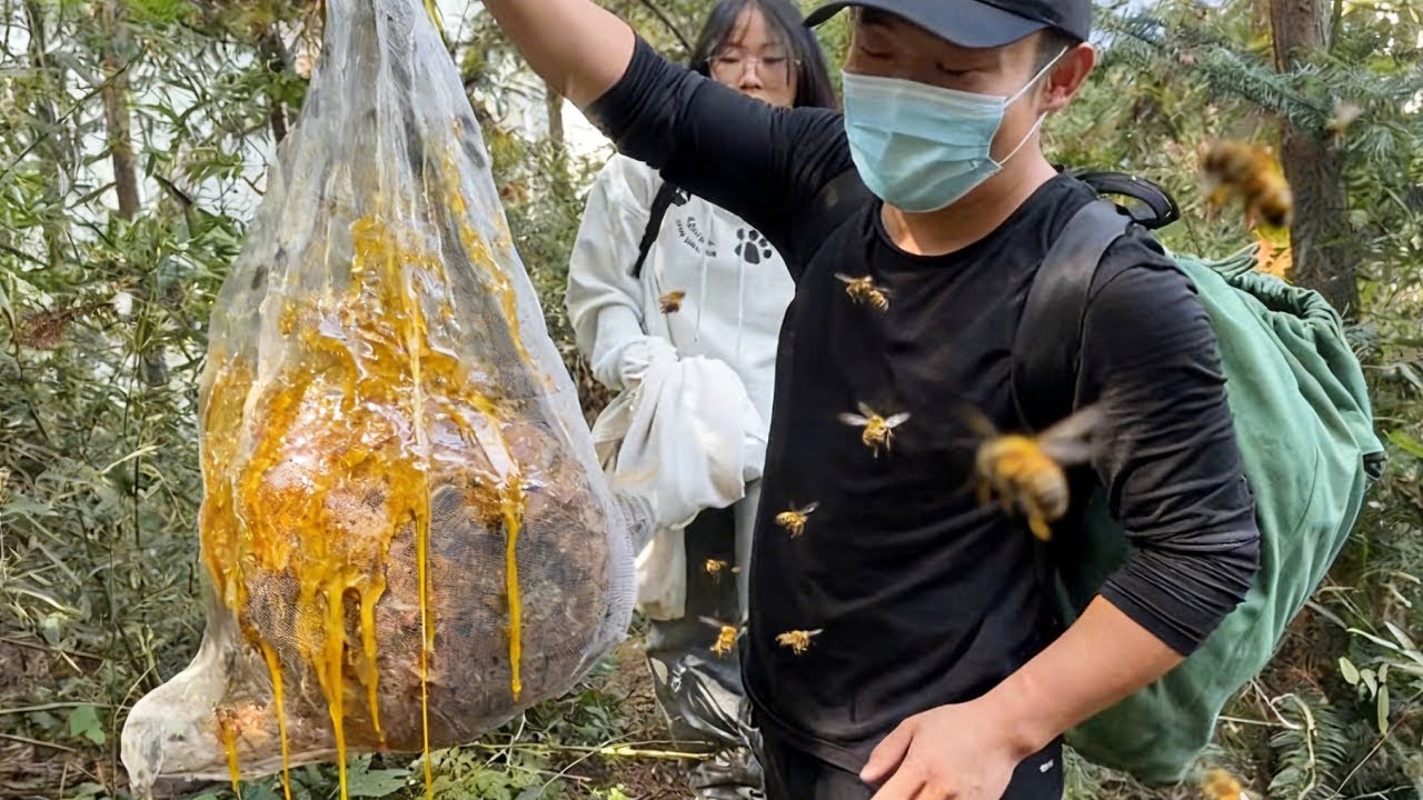 黄脚胡峰伤人，小成哥带女儿体验一窝端，一秒处理展示技术【蜂狂小成哥】