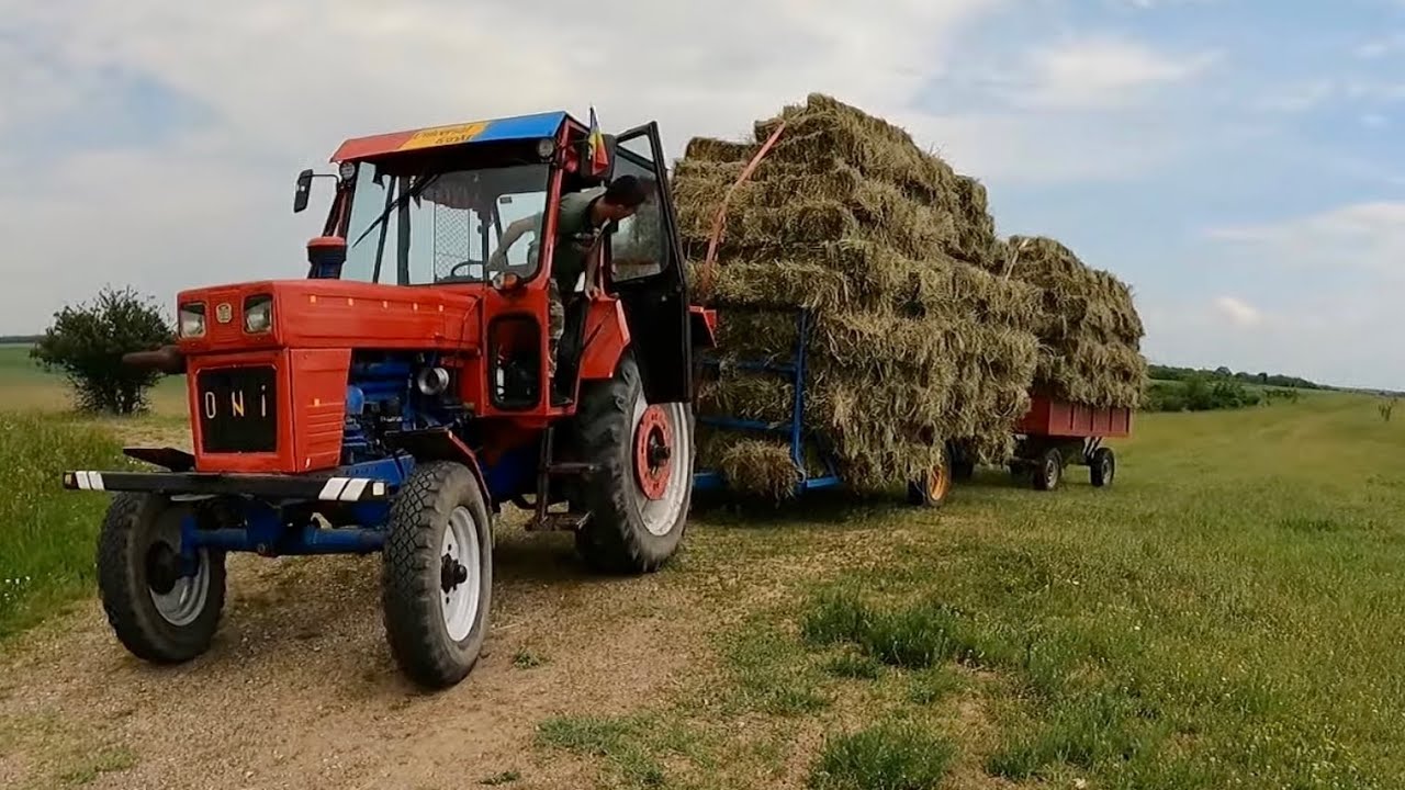 RECORD DE BALOȚI! + Activitate intensă la fermă PARTEA A-II-A