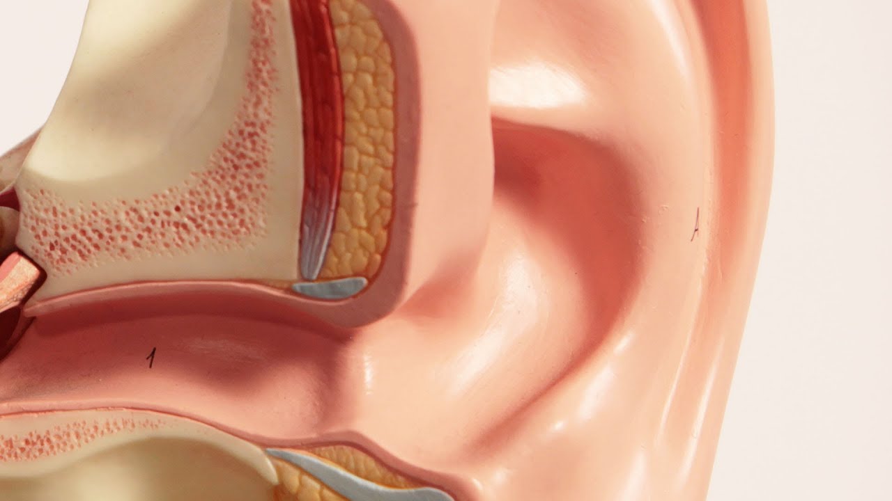 What Is an Outer Ear Infection? | Ear Problems