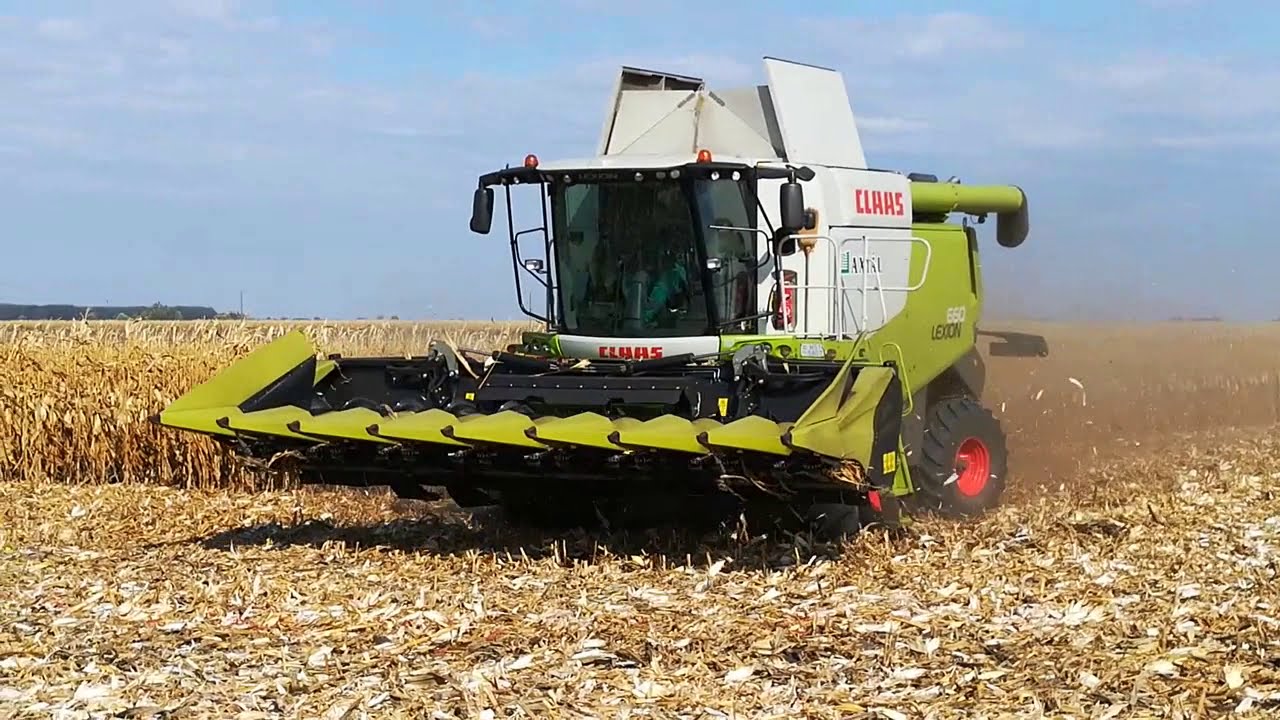 LEXION 660,OROS CORNADO,kukorica aratás