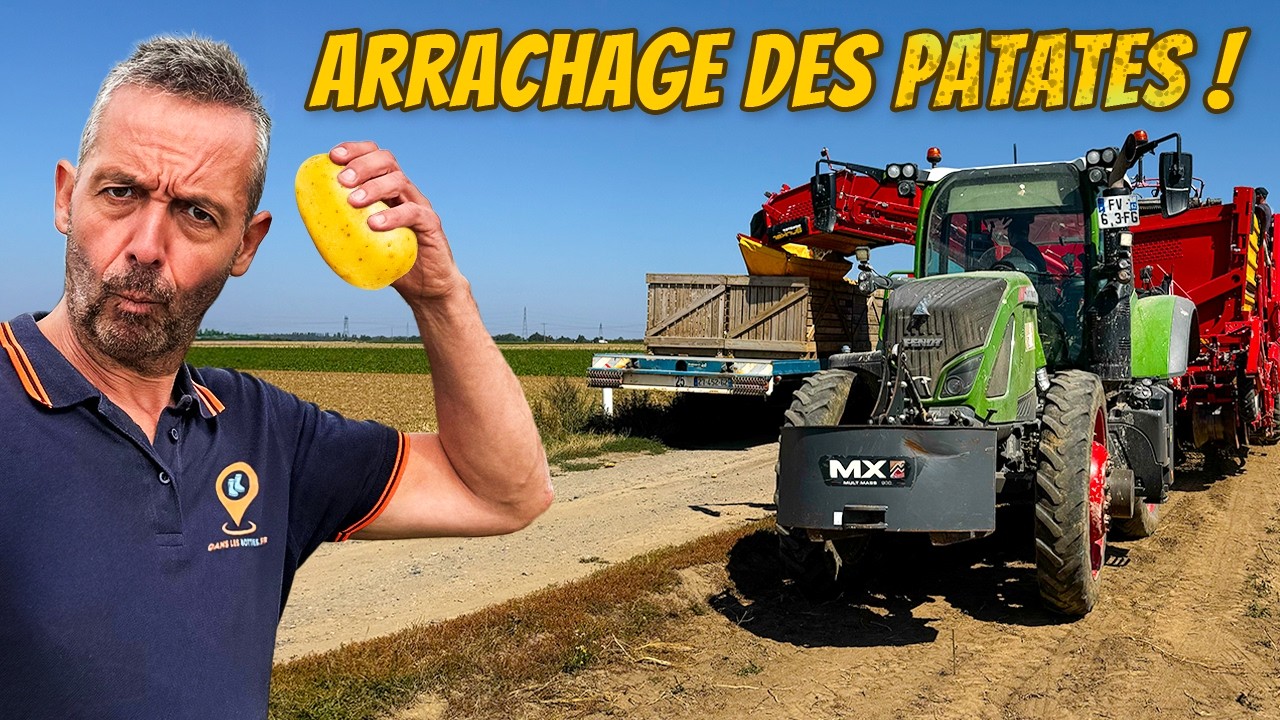 Le cycle des pommes de terre à la CUMA (partie 2/2) ! 🥔